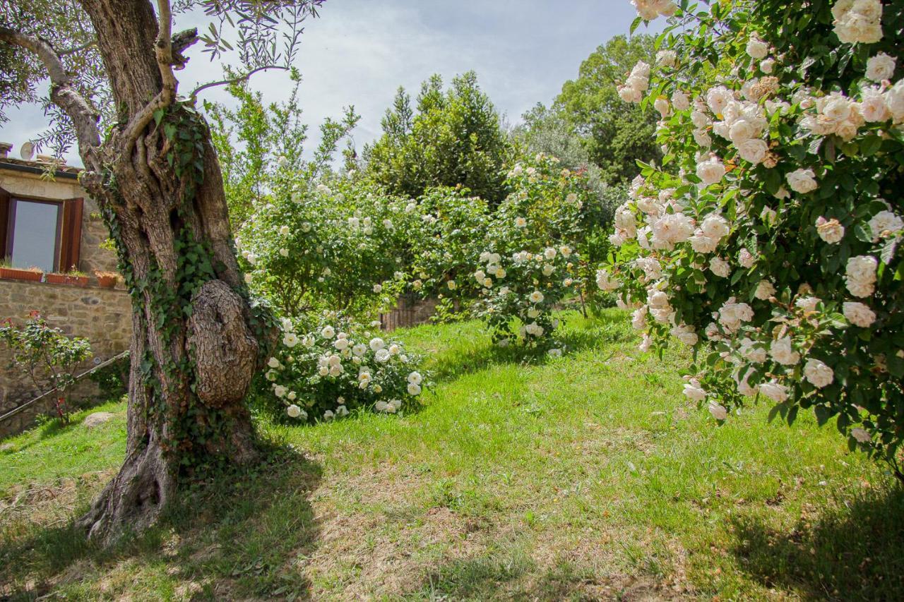 Country house Mas Rovira *