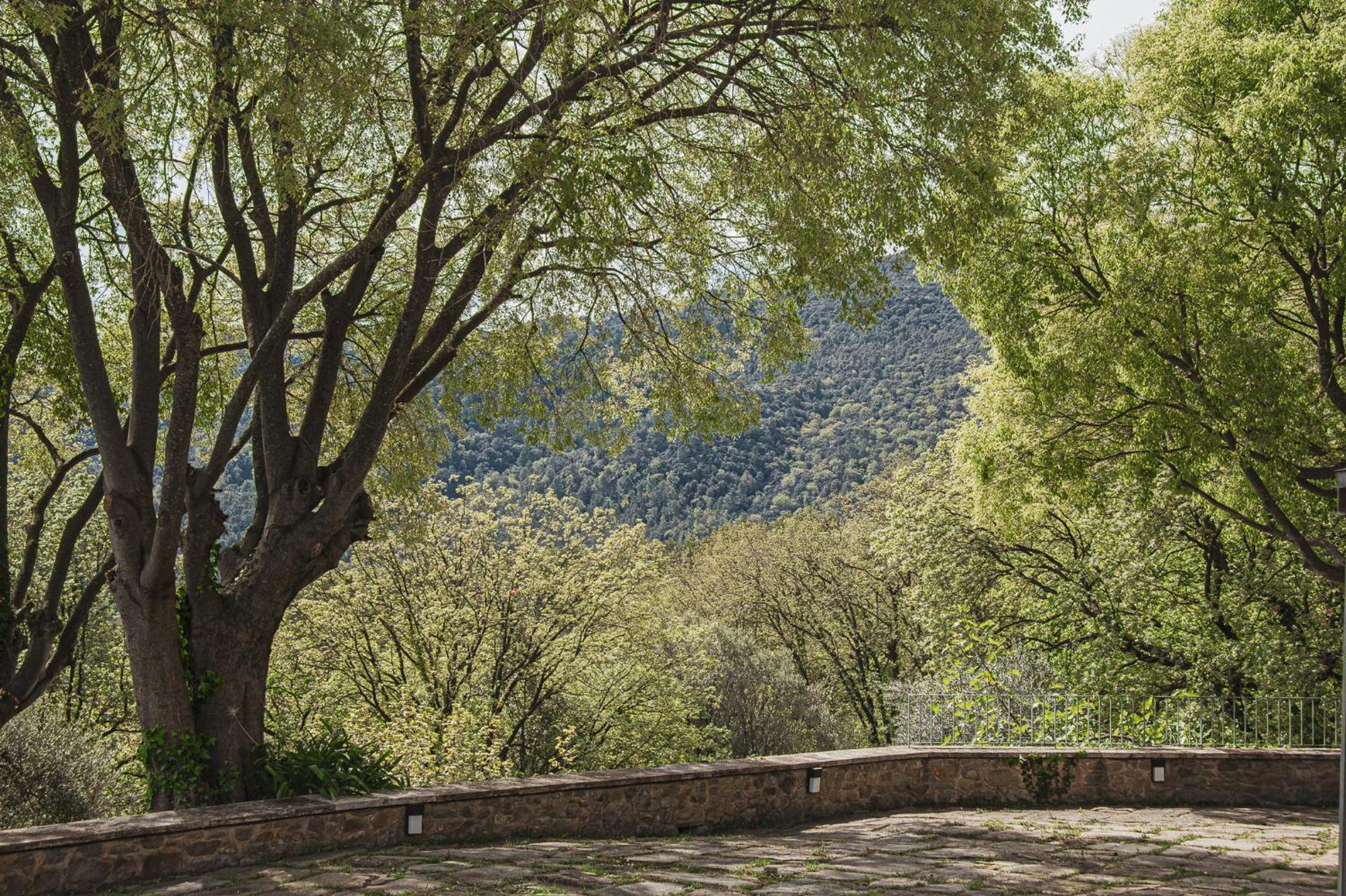 Mas Rovira Casa de camp